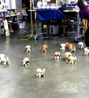 Have robot dog, will travel – dogs with electronics test _157_1920px