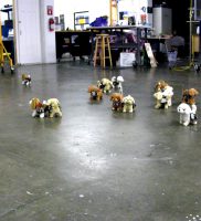 Have robot dog, will travel – dogs with electronics test _180_1920px